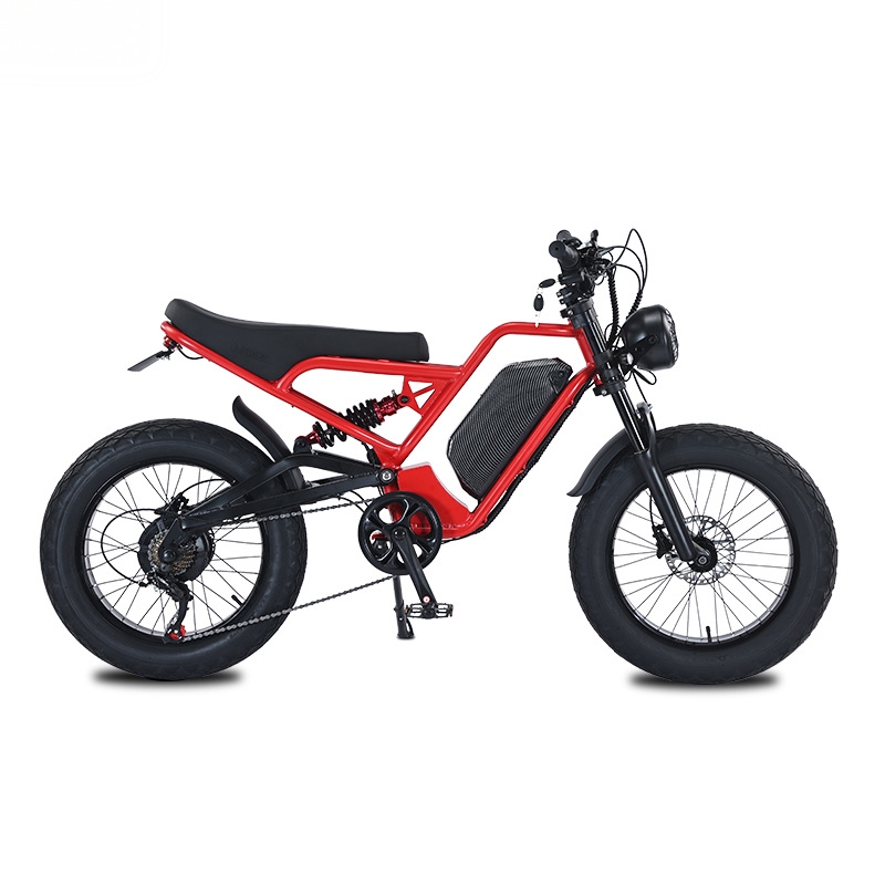 RRE QQA 13Ah 리튬 배터리, 48V, 750W - 48V 1500W Rear Hub Motor With Battery 리뷰 및 가격