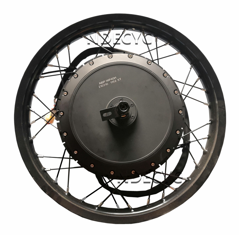 NBpower/QS V3 273 40H 오토바이 17' - 72V 8000W Brushless Hub Motor 리뷰 및 가격
